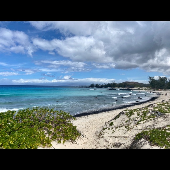 Meet the Posher Other - Meet your Posher, Lovica